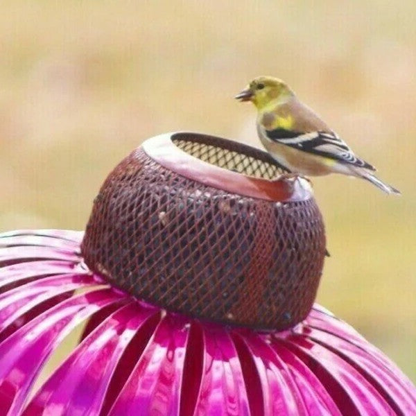 Echinacea Bird Feeder