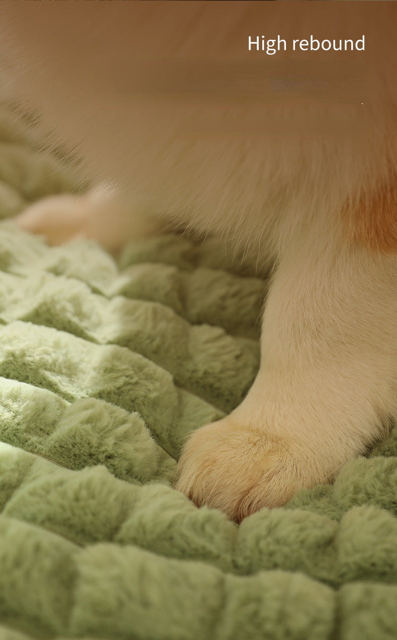 Furblast Warm Dog Mat