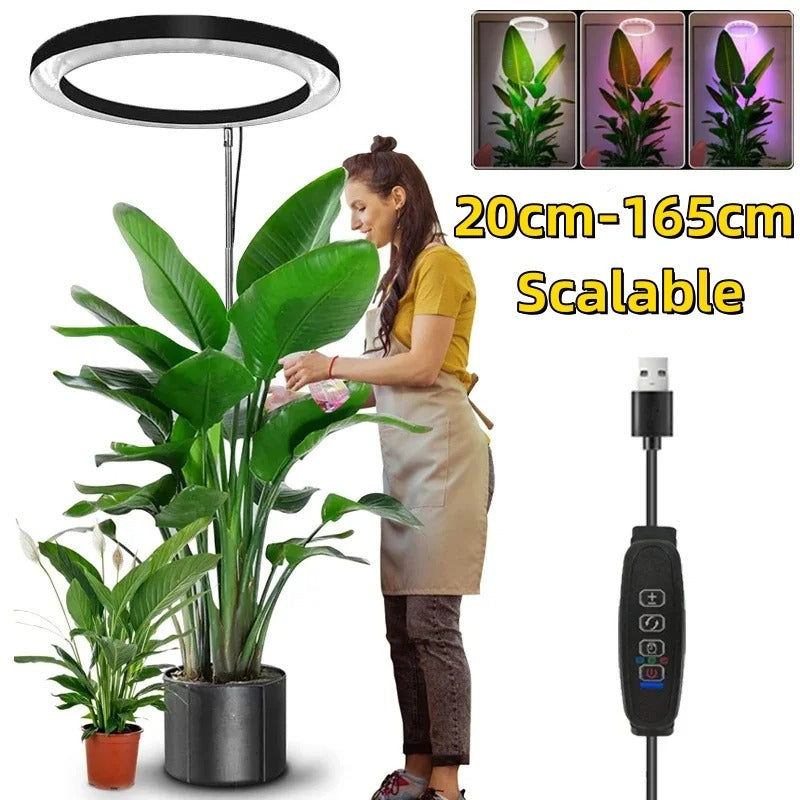 Indoor Plant Grow Light