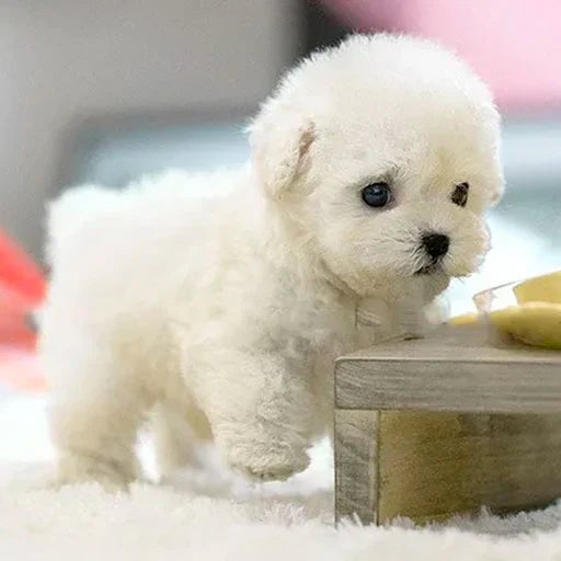 Chiot robot interactif rechargeable, dès 3 ans