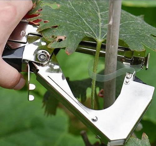 Attaches pour Plantes