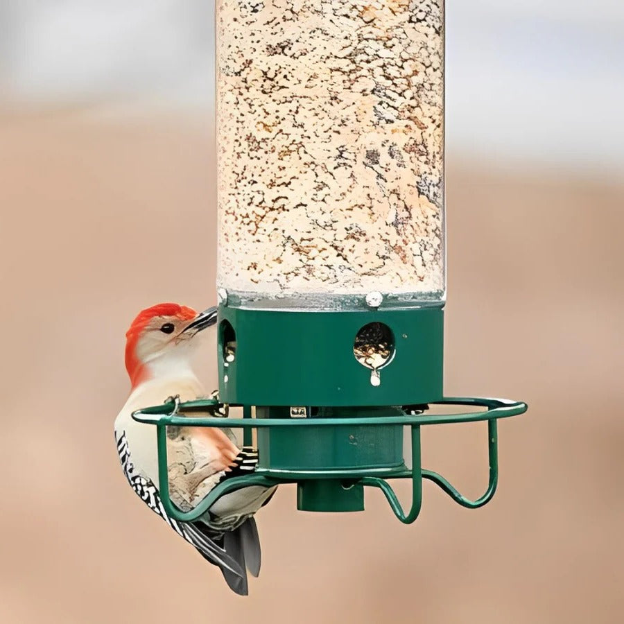 Squirrel-Resistant Bird Feeder with 4 Ports