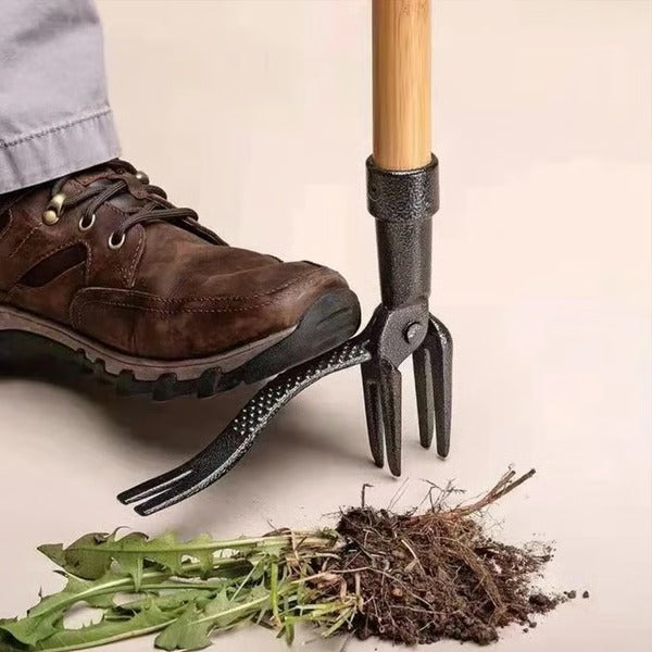 Arrache-Mauvaises Herbes Debout