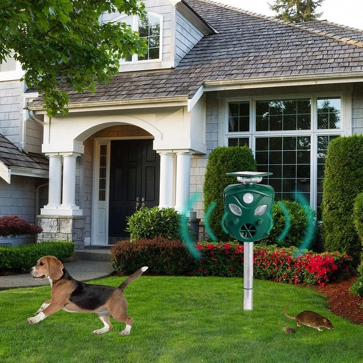 Répulsif Animaux Solaire Ultrasonique 360°