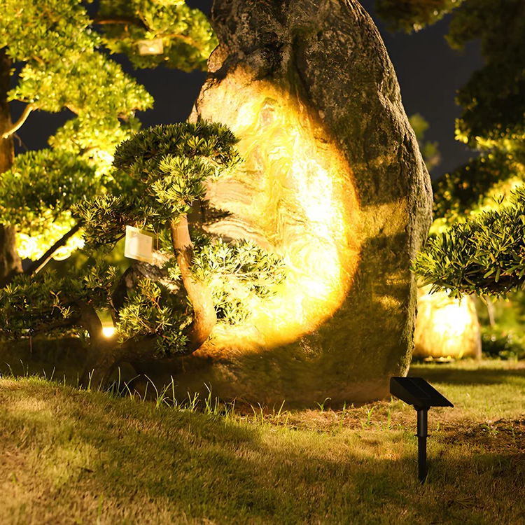 Spot LED Solaire Multi-Zoom Étanche pour Jardin