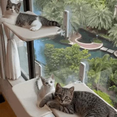 Catswing Foldable Cat Hammock
