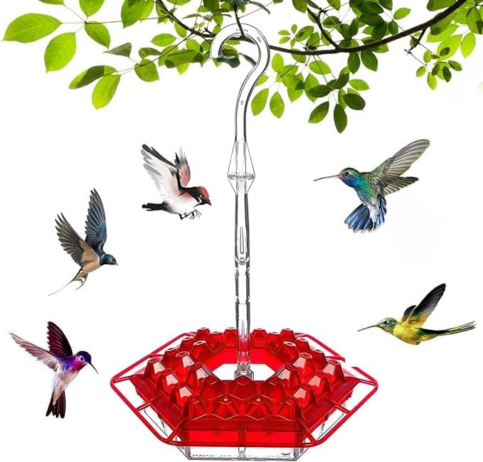 Hummingbird Feeder with Ant Protection, Hanging