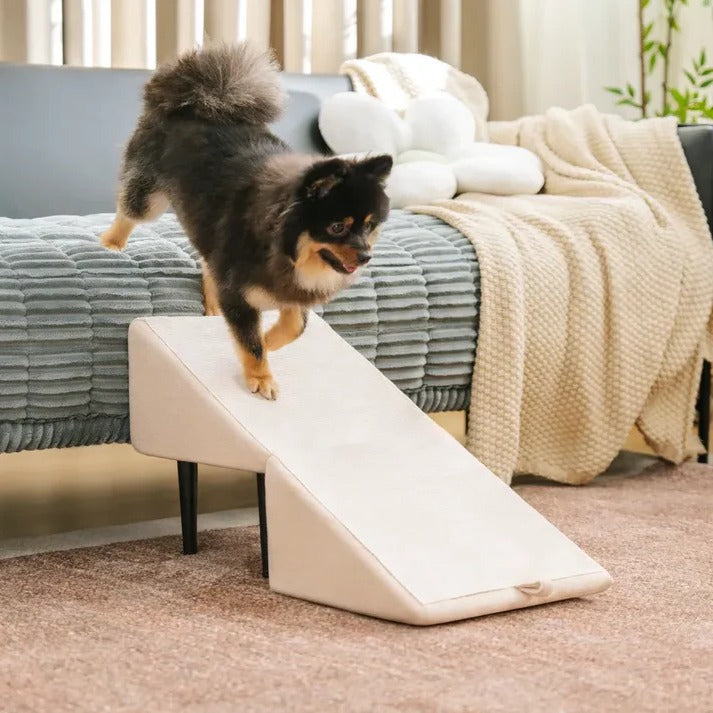 Rampe et marchepied 2 en 1 pour chien