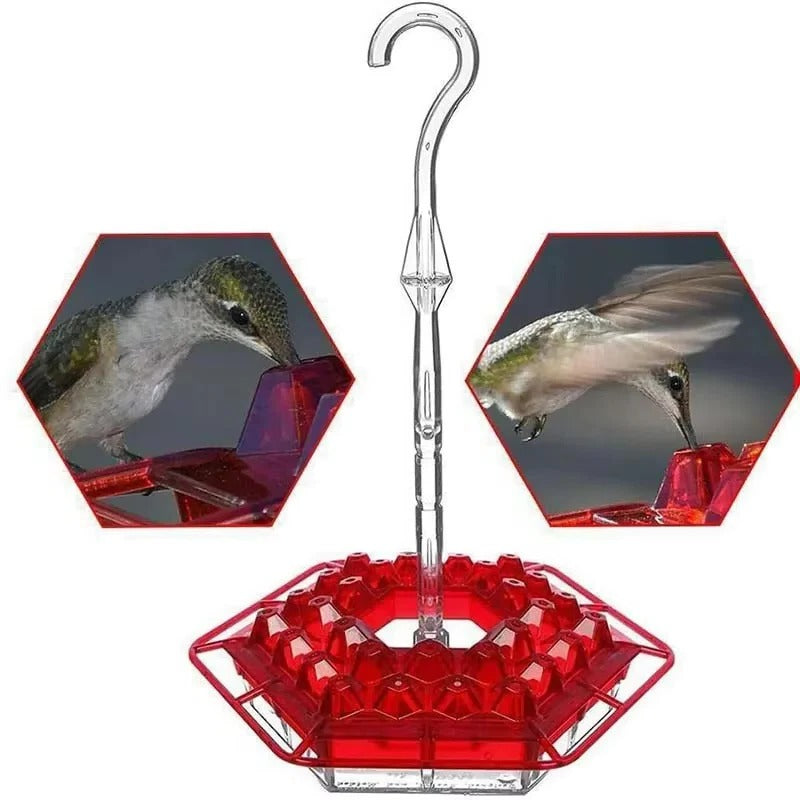 Hummingbird Feeder with Ant Protection, Hanging