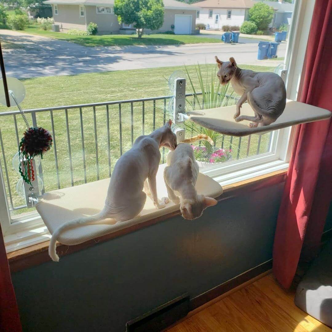 Catswing Foldable Cat Hammock