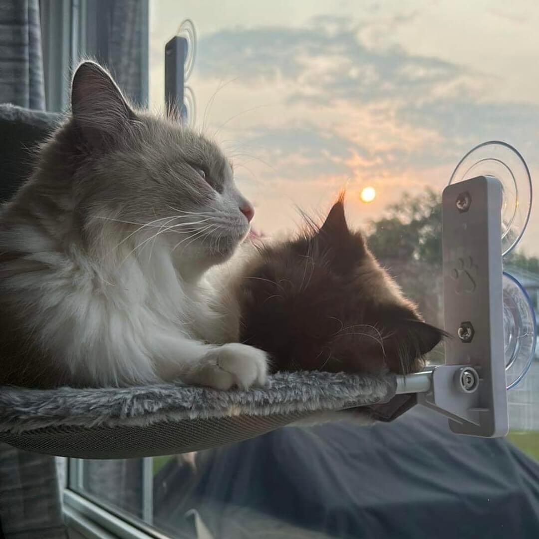 Catswing Foldable Cat Hammock