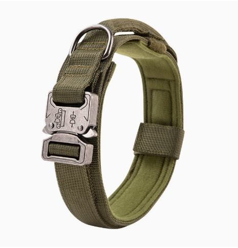 Collier en Nylon Rembourré pour Chien - Vert
