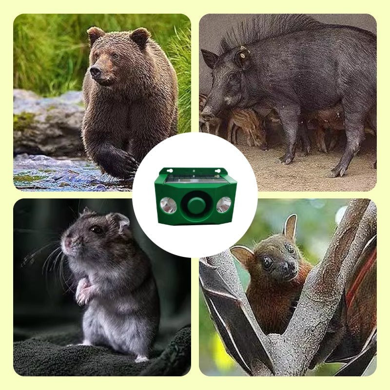 Lumières Solaires d'Avertissement Anti-Animaux