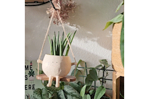 GreenOasis - Panier Suspendu Élégant pour Plantes