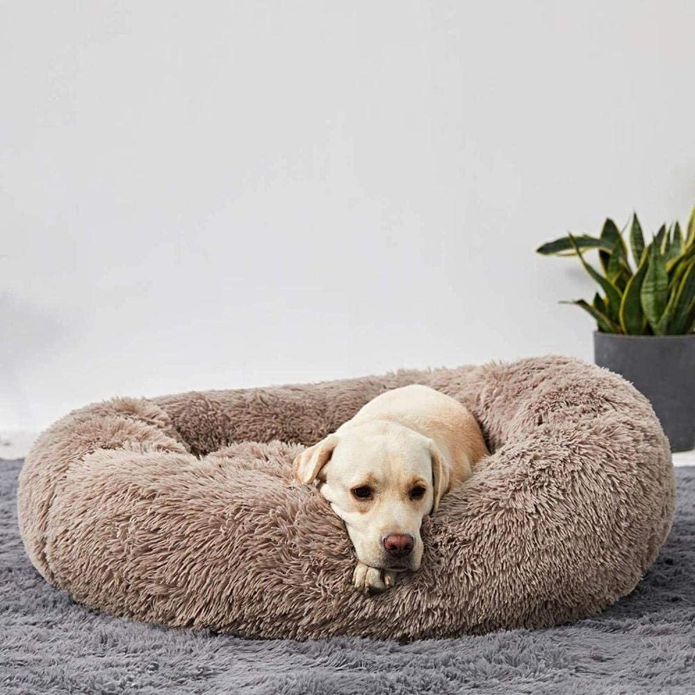 Coussin pour chien en peluche, housse lavable