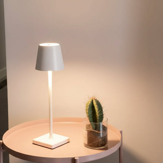 Petite lampe rechargeable Aura blanche utilisée comme objet de décoration à côté d'un cactus.