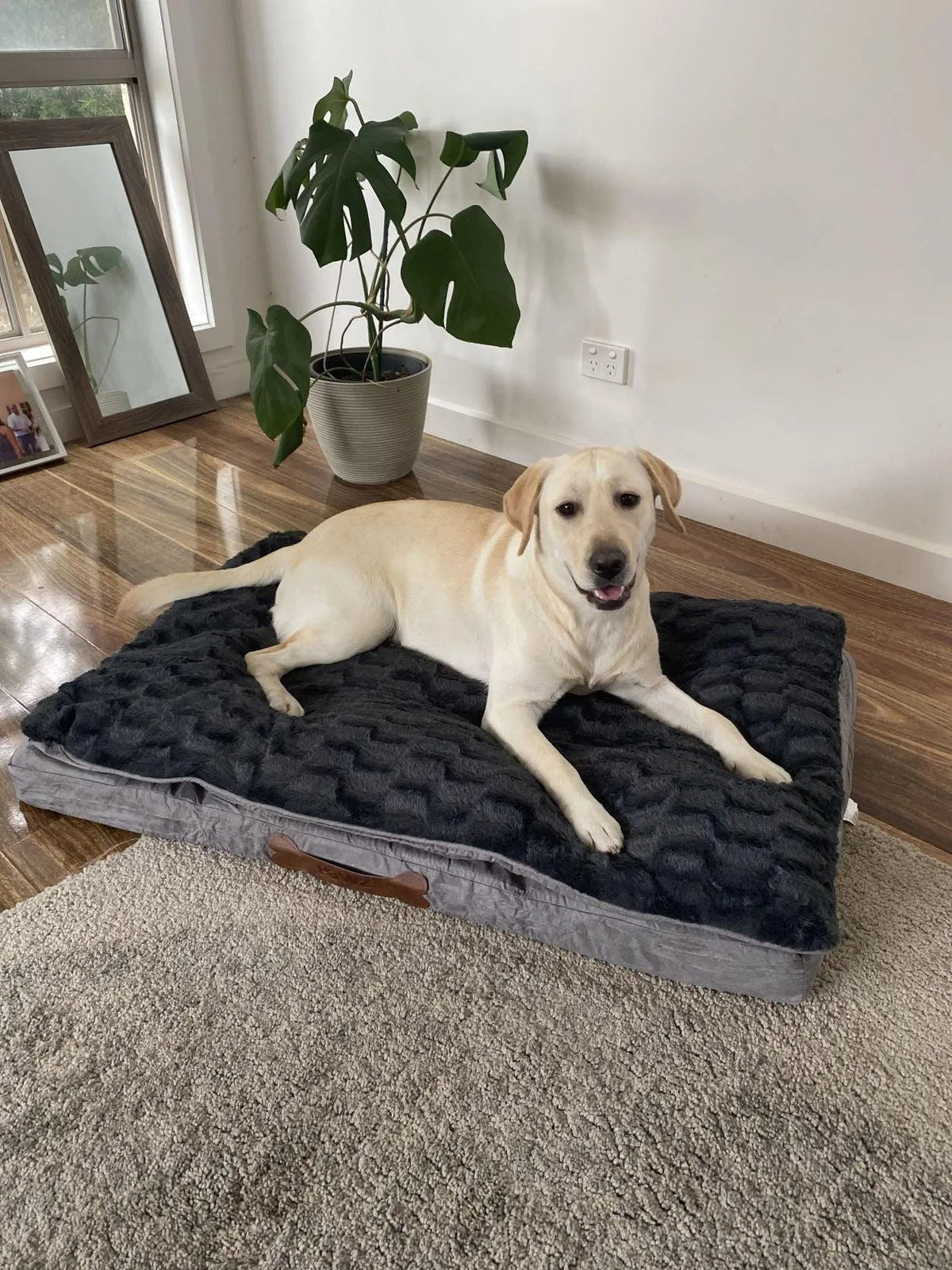 Matelas pour chien en mousse à mémoire de forme