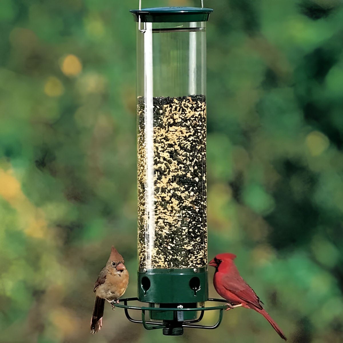 Mangeoire à oiseaux en métal à perchoir basculant