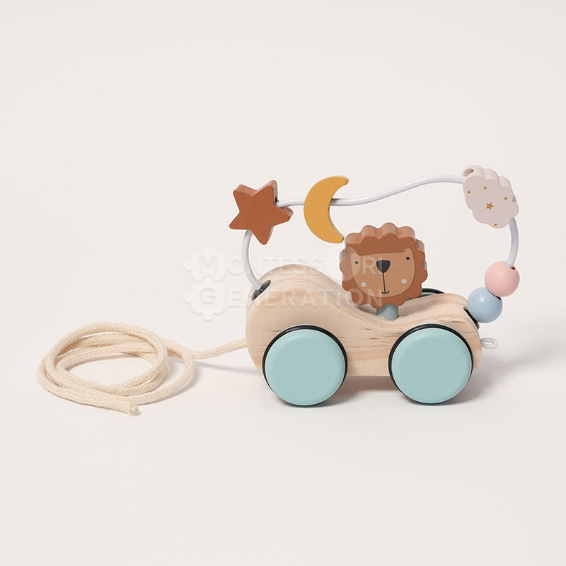 Wooden Lion Pull-Along Toy, from 6 Months