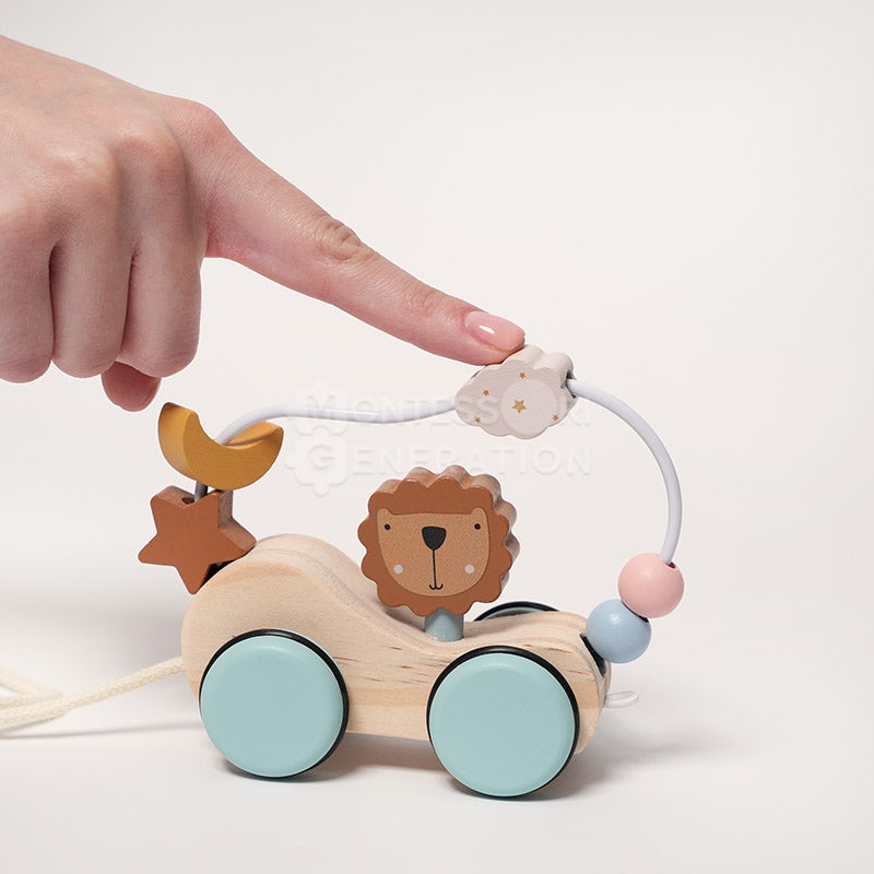 Wooden Lion Pull-Along Toy, from 6 Months