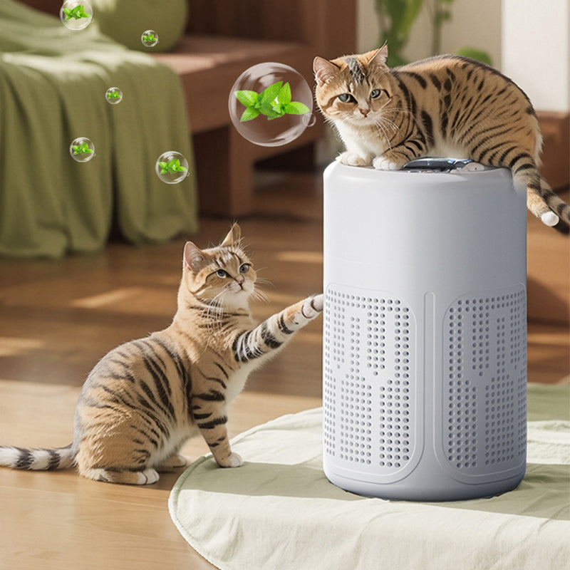 Compact Air Purifier for the Home