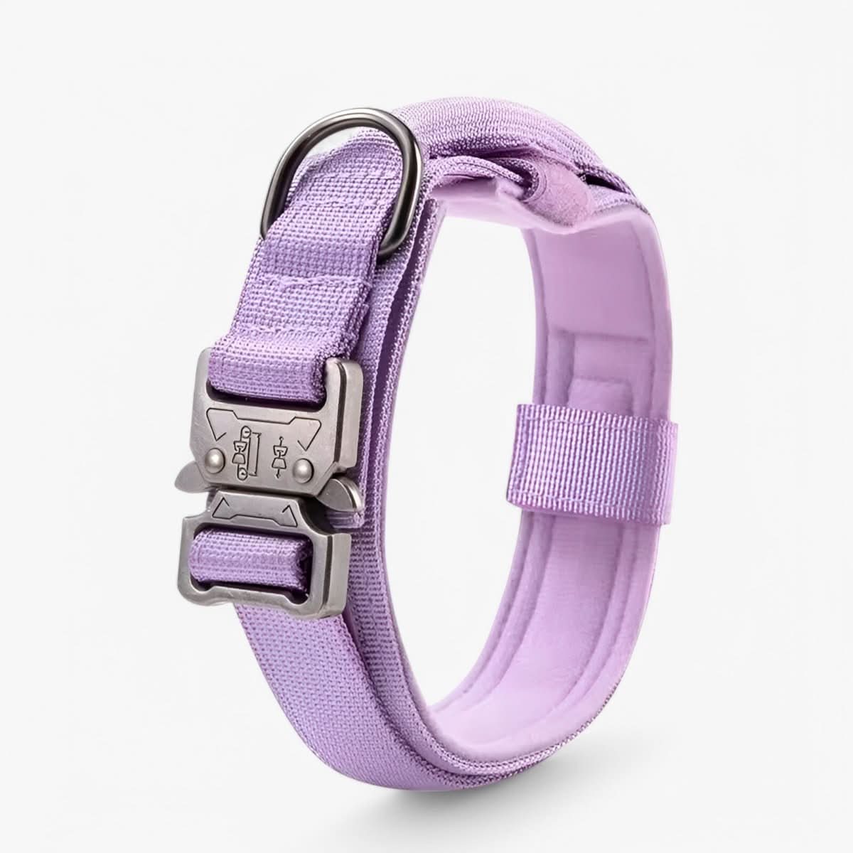 Collier en Nylon Rembourré pour Chien - Violet