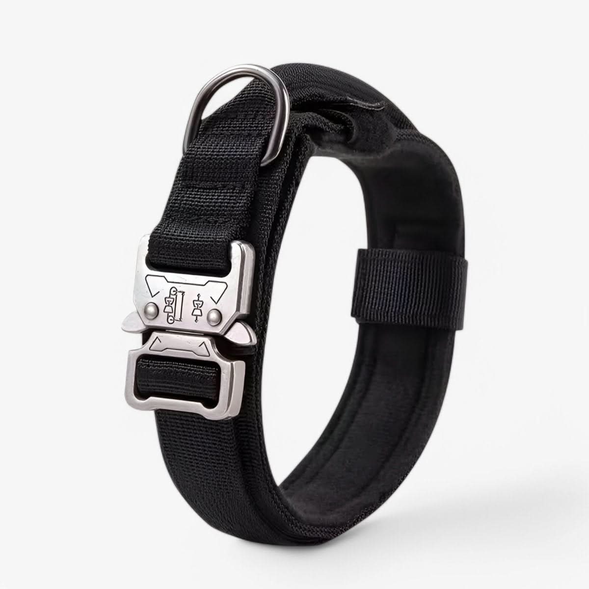 Collier en Nylon Rembourré pour Chien